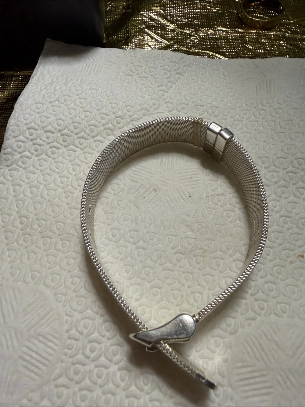 Silver Mesh Buckle Bracelet